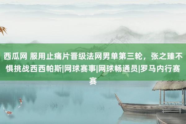 西瓜网 服用止痛片晋级法网男单第三轮，张之臻不惧挑战西西帕斯|网球赛事|网球畅通员|罗马内行赛