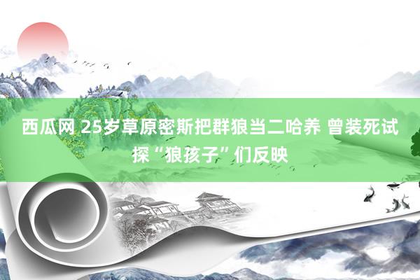 西瓜网 25岁草原密斯把群狼当二哈养 曾装死试探“狼孩子”们反映