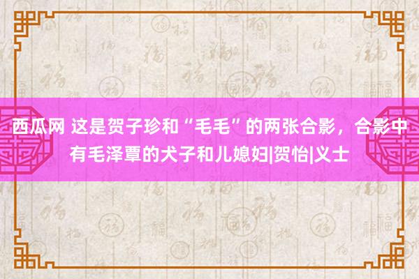 西瓜网 这是贺子珍和“毛毛”的两张合影，合影中有毛泽覃的犬子和儿媳妇|贺怡|义士