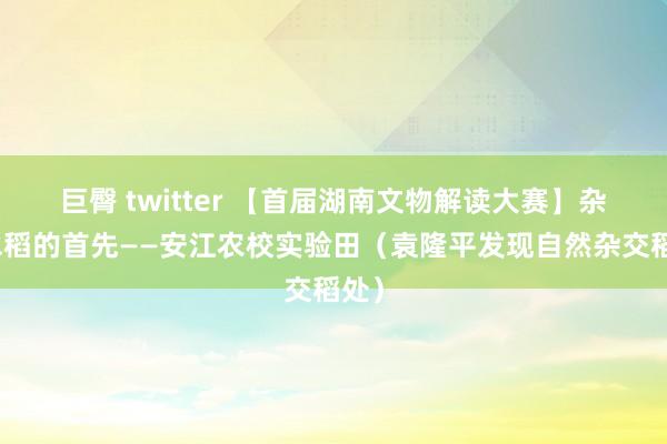 巨臀 twitter 【首届湖南文物解读大赛】杂交水稻的首先——安江农校实验田（袁隆平发现自然杂交稻处）