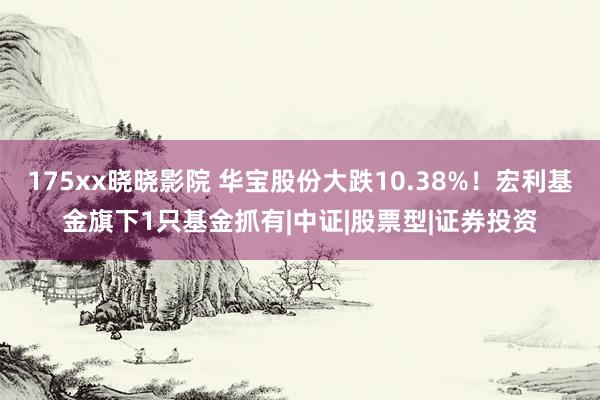 175xx晓晓影院 华宝股份大跌10.38%！宏利基金旗下1只基金抓有|中证|股票型|证券投资