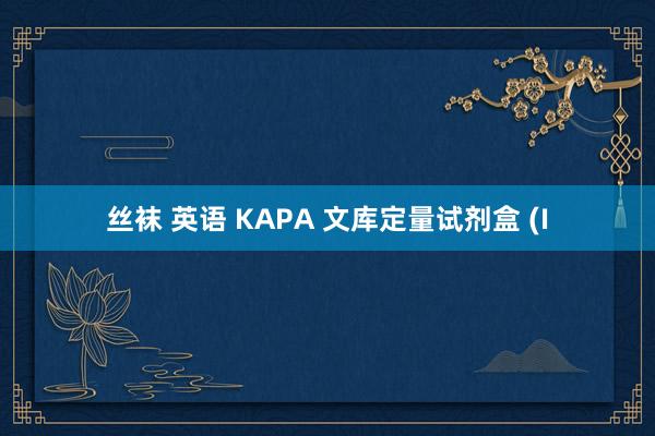 丝袜 英语 KAPA 文库定量试剂盒 (I