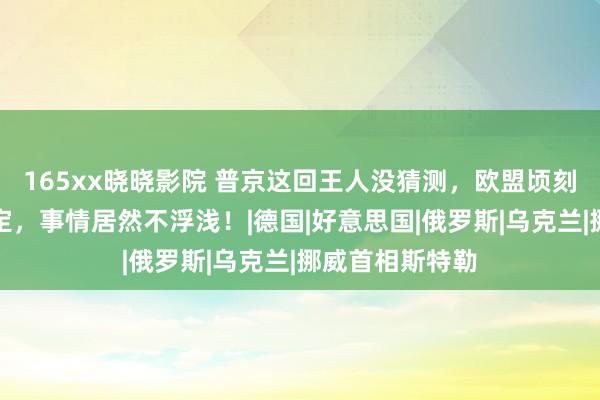 165xx晓晓影院 普京这回王人没猜测，欧盟顷刻间晓示重磅决定，事情居然不浮浅！|德国|好意思国|俄罗斯|乌克兰|挪威首相斯特勒